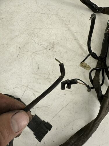 1999 HARLEY DAVIDSON DYNA MAIN WIRING HARNESS LOOM FUSE RELAY