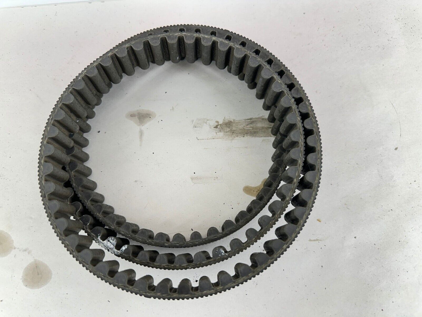 2003 Harley Davidson Sportster Final Drive Belt