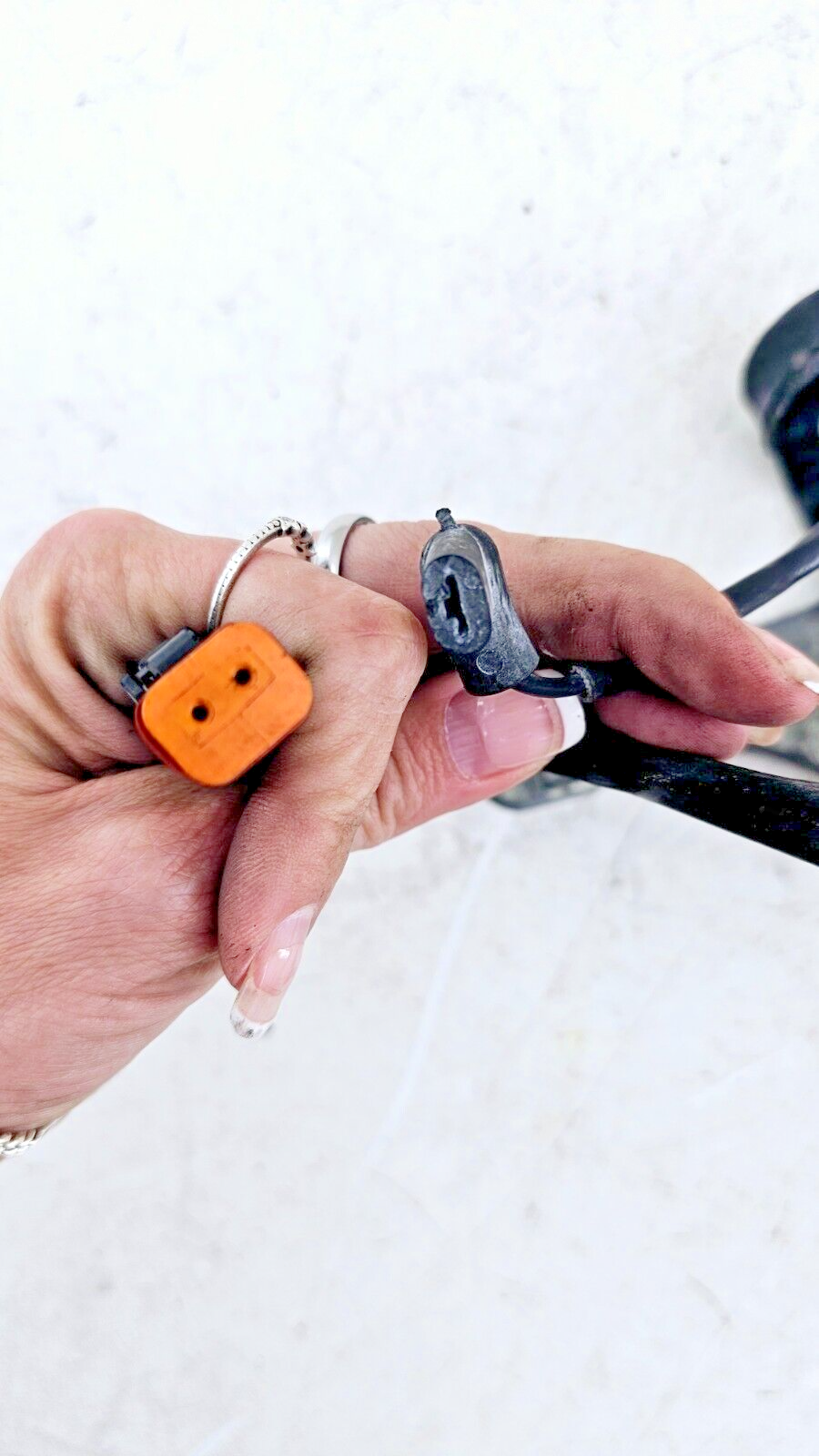 1997 HARLEY SOFTAIL Upper Motor Mount Rubber Horn Bracket