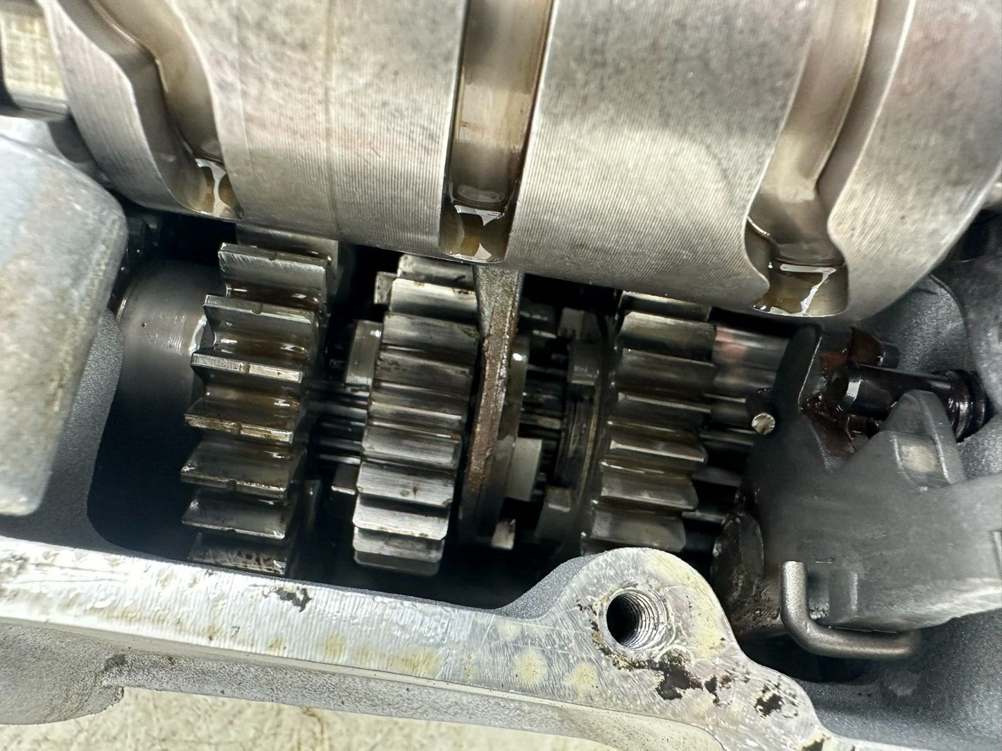 1999 HARLEY SOFTAIL OEM HD 5 Speed Transmission Gearbox + Cable