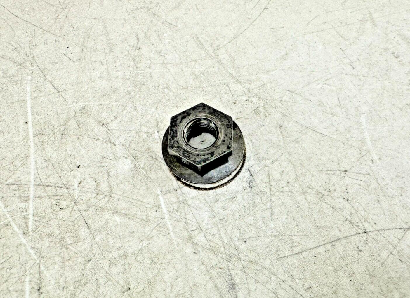 1997 HARLEY SPORTSTER Primary Clutch Basket + Chain