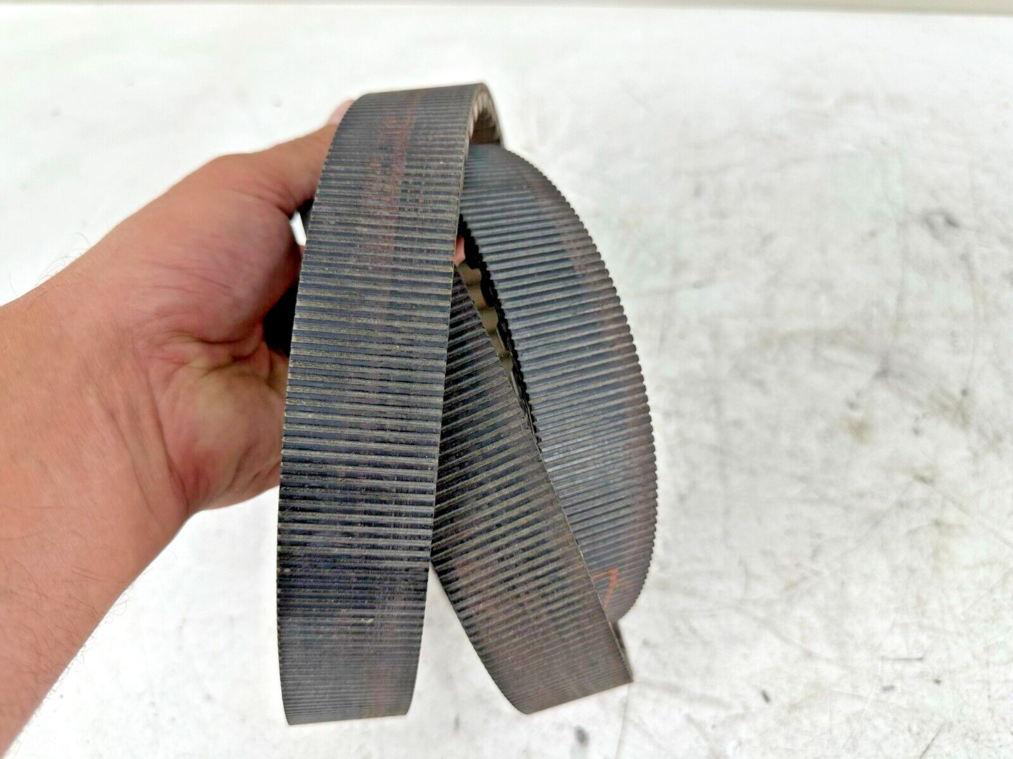 1996 HARLEY FLH ROADKING TOURING Rear Wheel Final Drive Belt