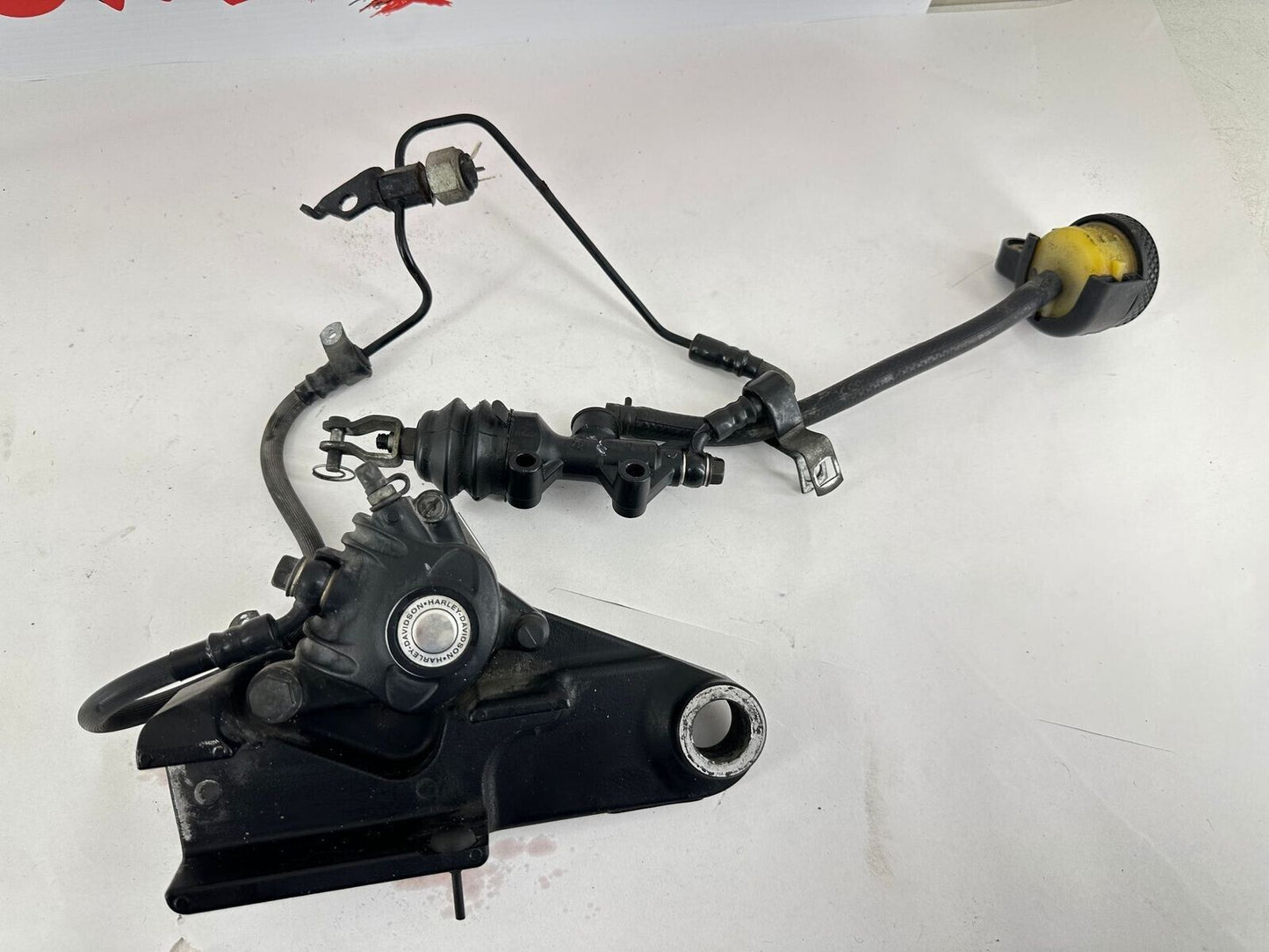 2007 HARLEY SPORTSTER CUSTOM Rear Brake Caliper + Master Cylinder