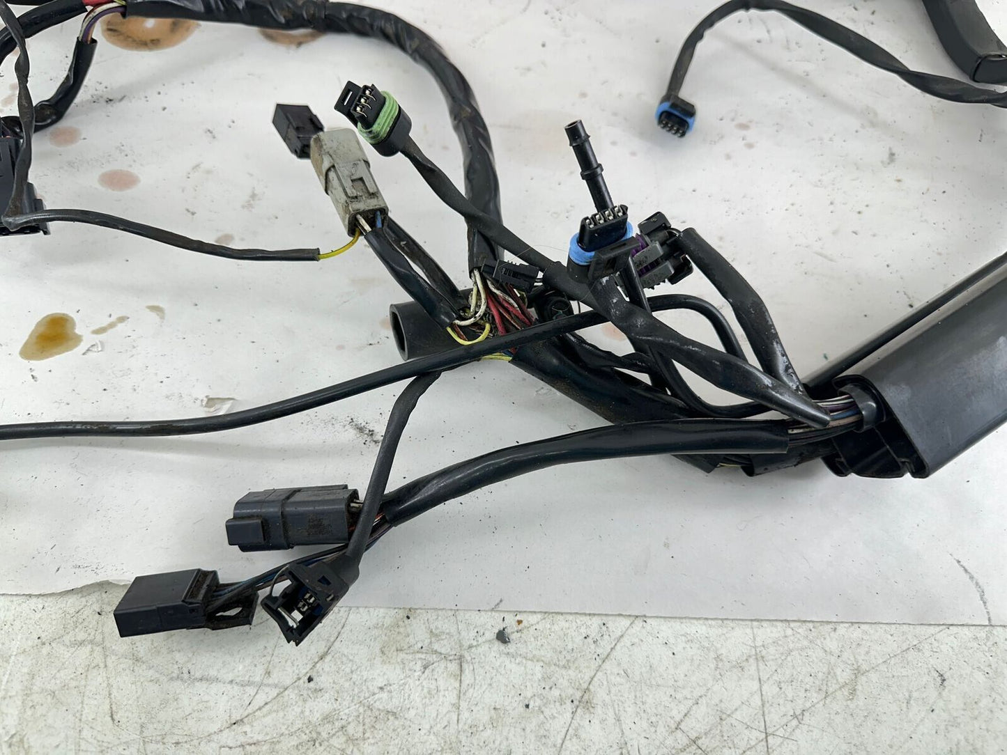 2001 HARLEY SOFTAIL Complete Main Wiring Harness Loom Fuse Relay