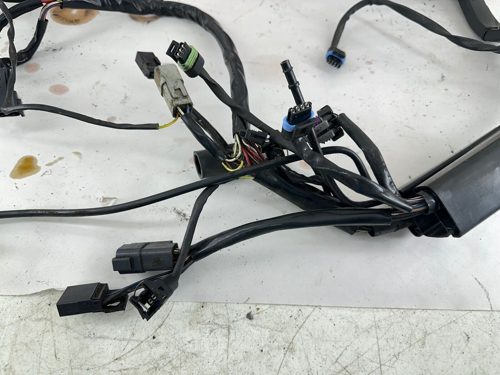 2001 HARLEY SOFTAIL Complete Main Wiring Harness Loom Fuse Relay