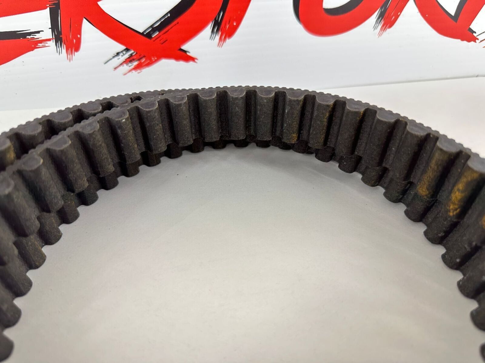 2007 HARLEY SPORTSTER CUSTOM Rear Wheel Final Drive Belt 40591-07