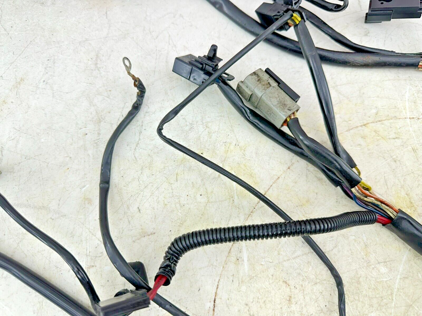 1999 HARLEY SOFTAIL OEM HD Main Wire Wiring Harness Loom