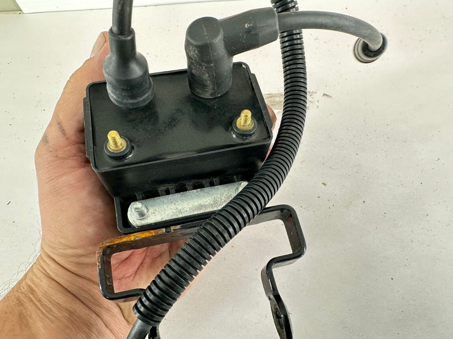 2003 Harley Davidson Sportster Ignition Coil + Sparkplug Wires OEM