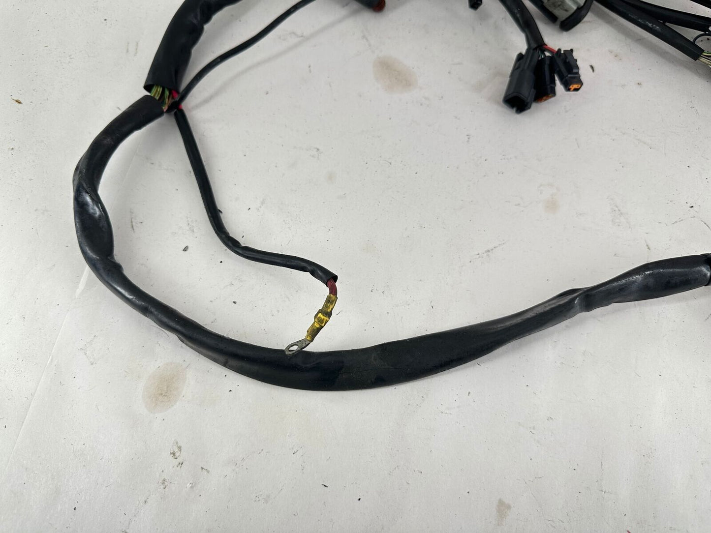 2000 HARLEY FLH ELECTRA GLIDE EFI Fuel Injection Wire Harness