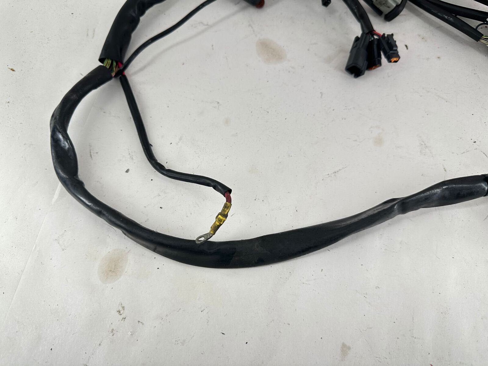 2000 HARLEY FLH ELECTRA GLIDE EFI Fuel Injection Wire Harness