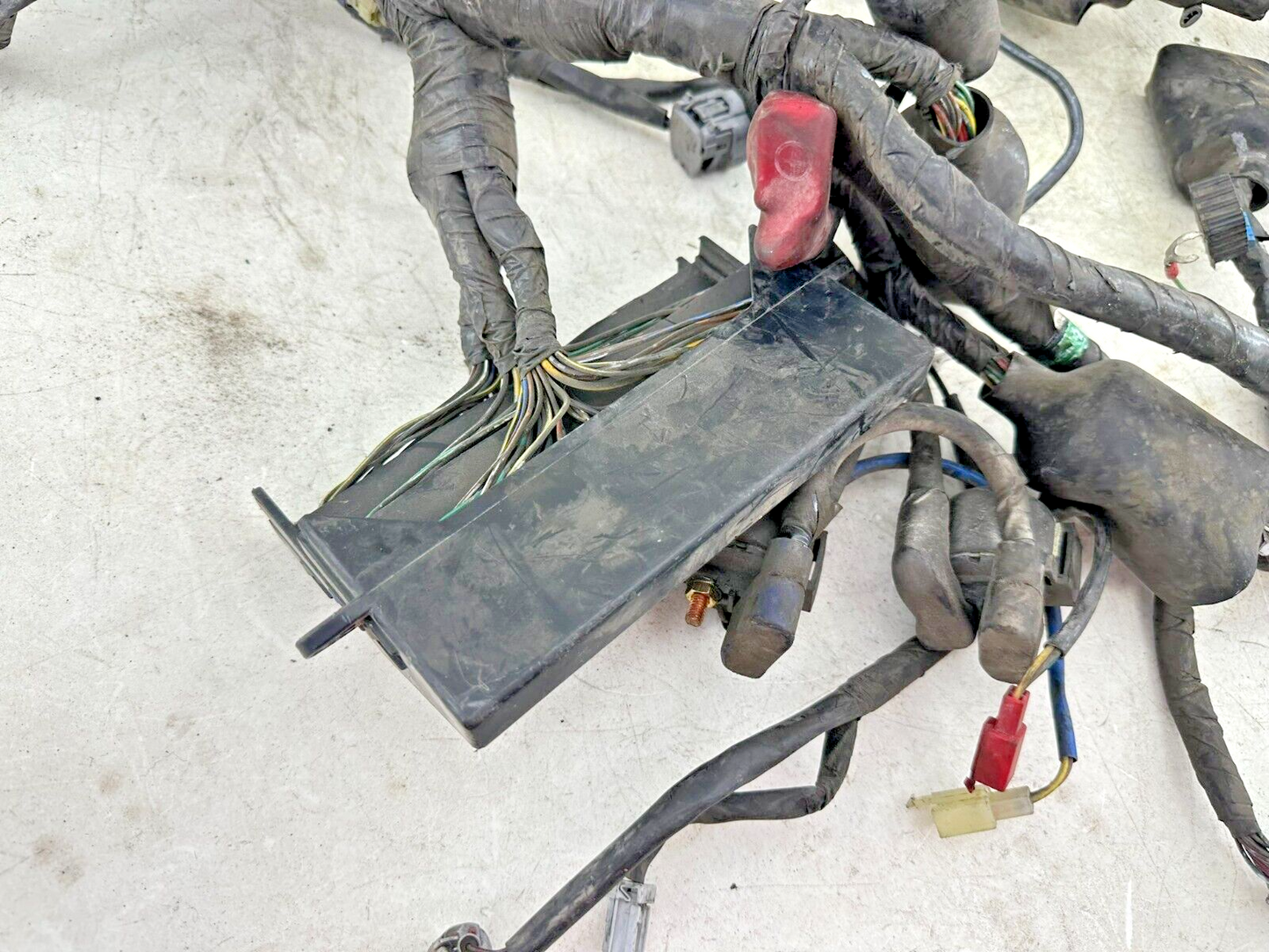 2004 Honda Goldwing GL1800 Main Wire Wiring Harness Loom Complete Un-Cut