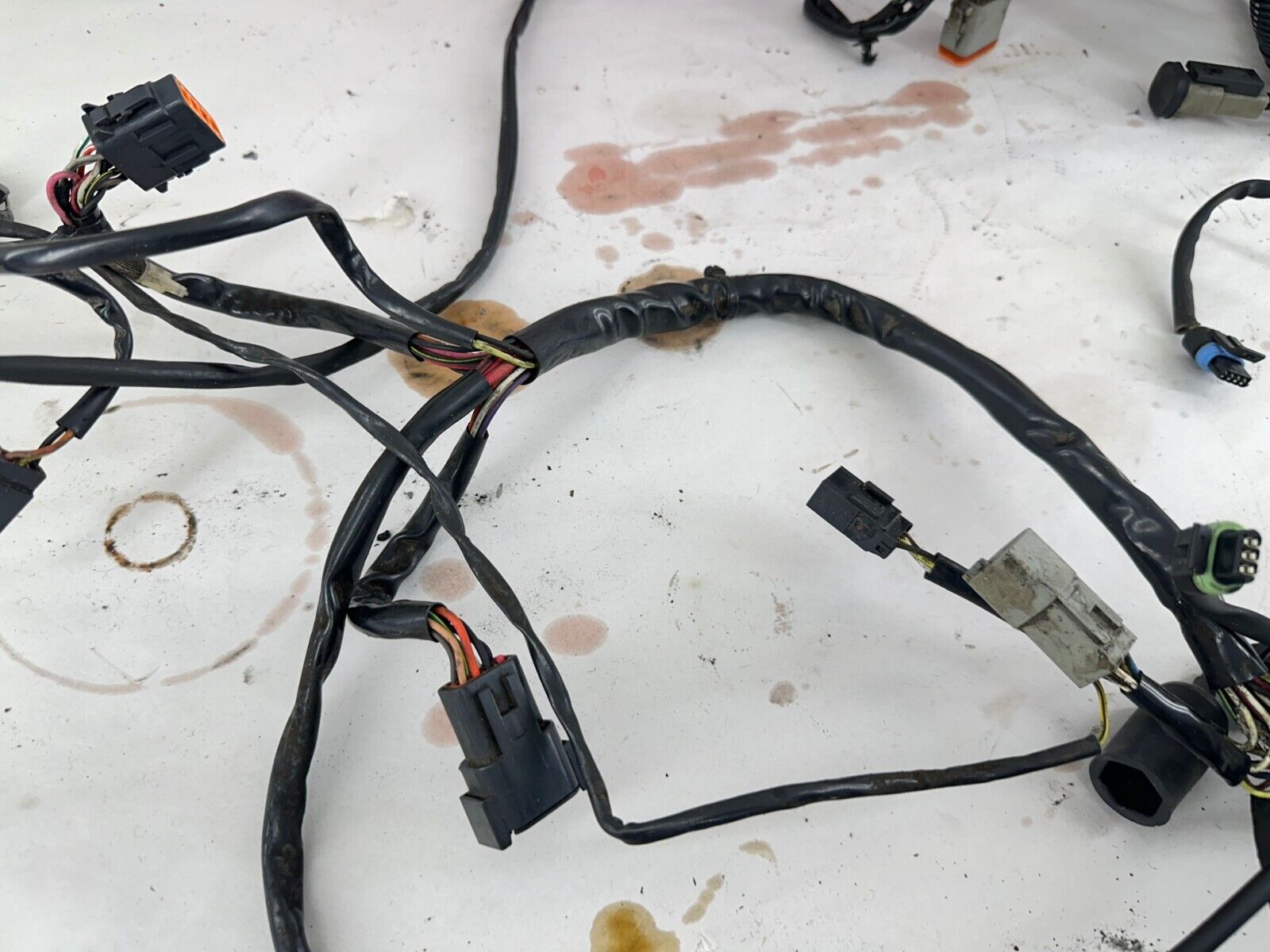 2001 HARLEY SOFTAIL Complete Main Wiring Harness Loom Fuse Relay