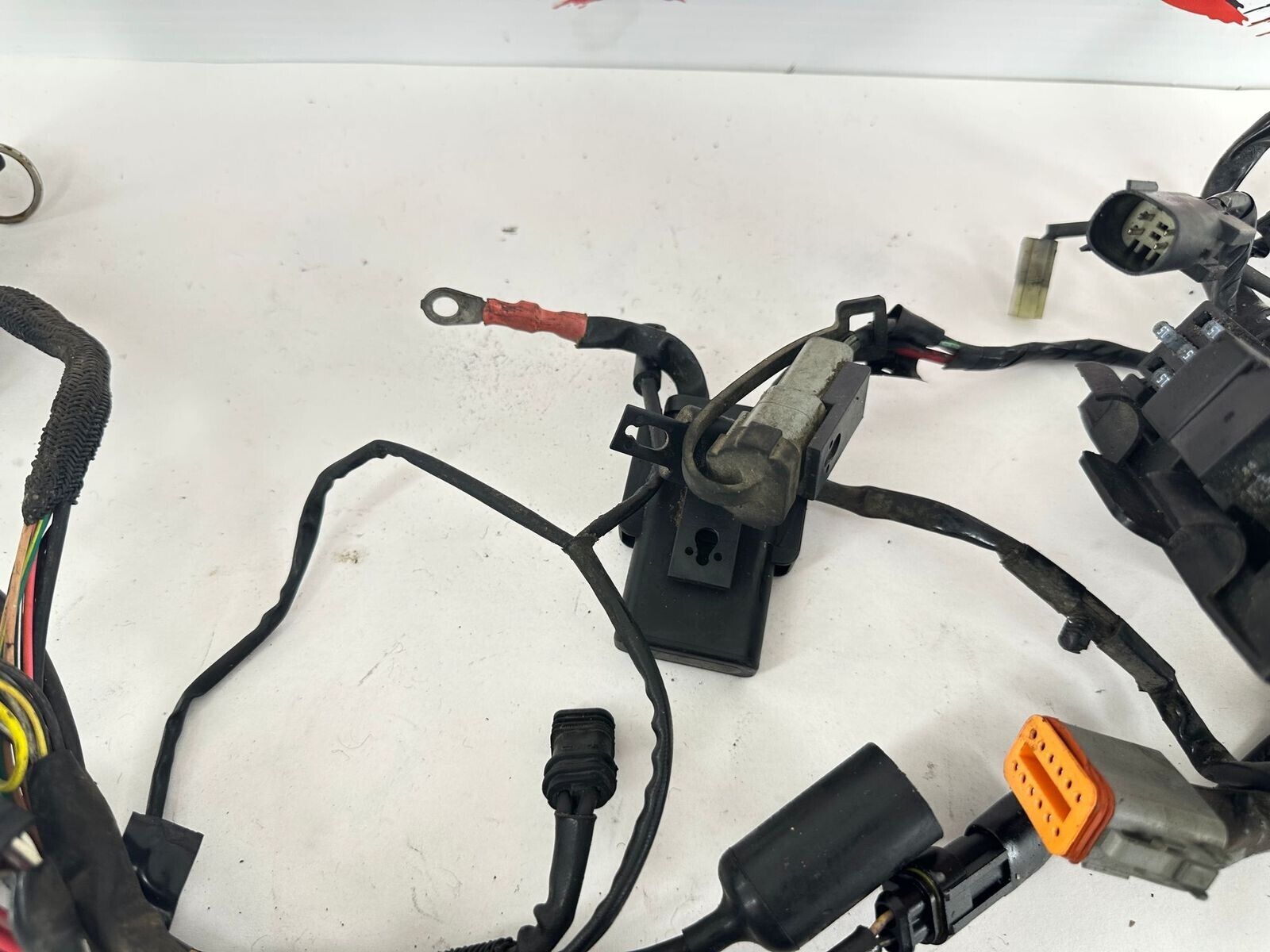 2007 HARLEY SPORTSTER CUSTOM Main Wiring Harness + Ignition Switch + Key