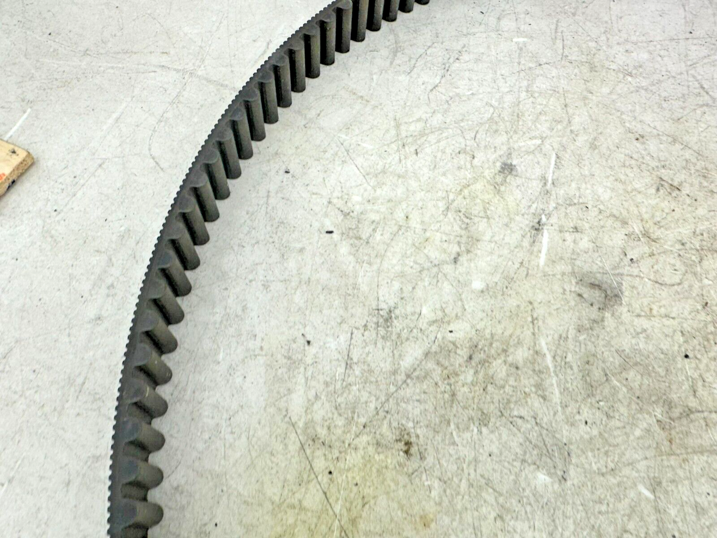 2002 HARLEY SOFTAIL 135 Tooth 1 1/8" Wide Final Drive Belt
