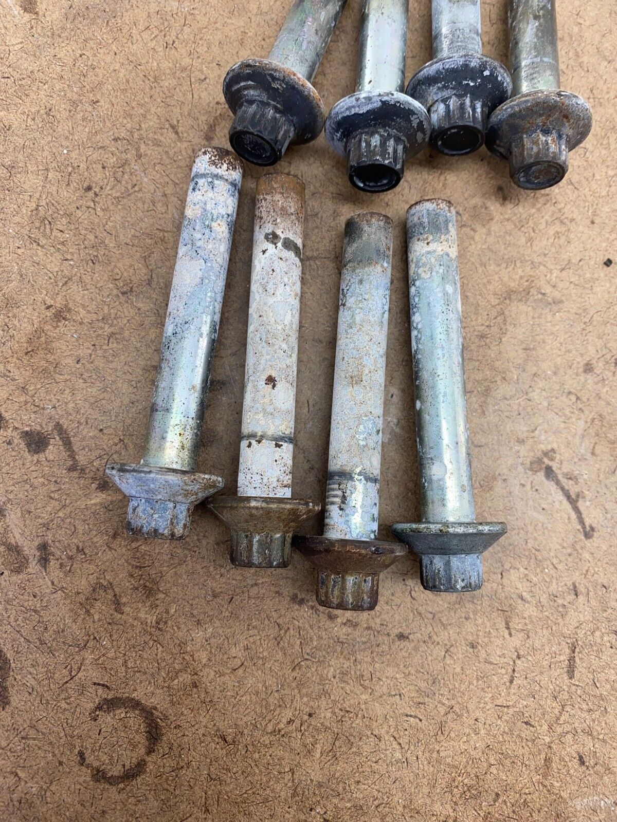 2001 Harley Davidson Sportster Head Nuts X8
