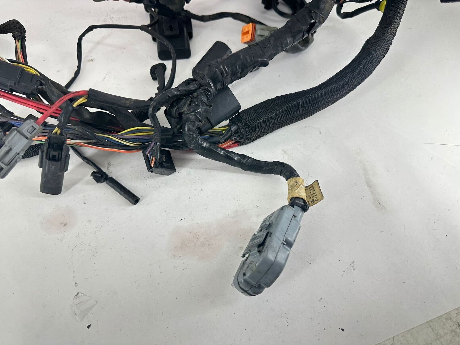 2007 HARLEY SPORTSTER CUSTOM Main Wiring Harness + Ignition Switch + Key