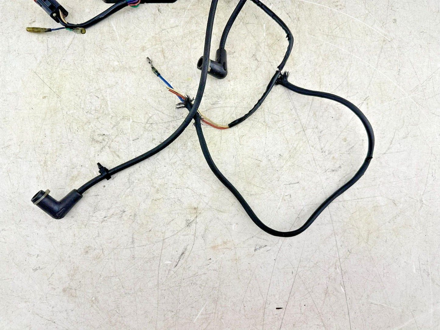 1999 HARLEY SOFTAIL OEM HD ECM ECU CDI + Ignition Coil