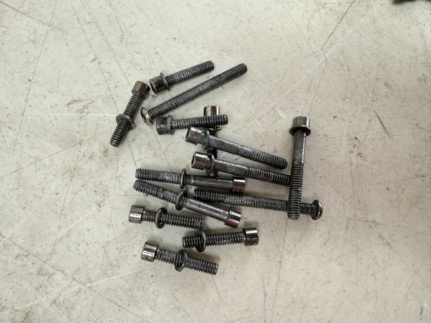 1997 HARLEY DAVIDSON SOFTAIL Outer Primary Clutch Cover Case Chrome Housing