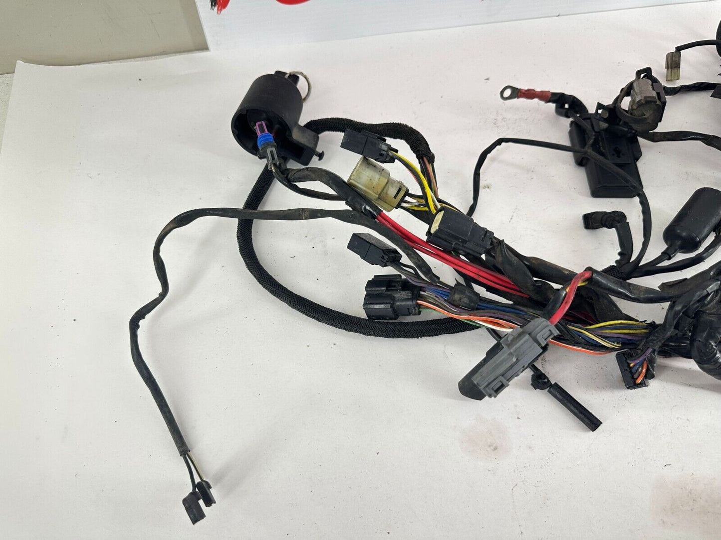 2007 HARLEY SPORTSTER CUSTOM Main Wiring Harness + Ignition Switch + Key