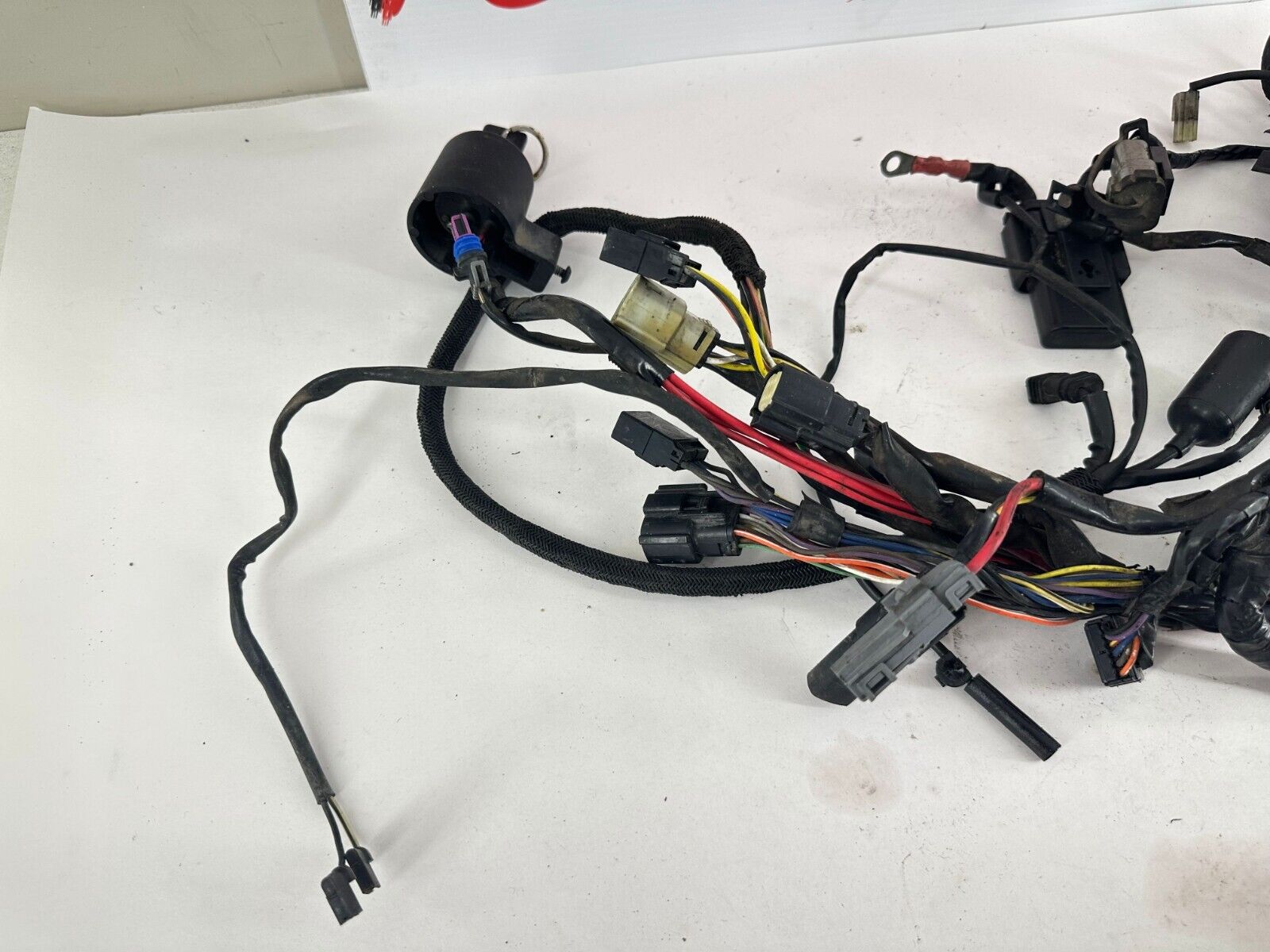 2007 HARLEY SPORTSTER CUSTOM Main Wiring Harness + Ignition Switch + Key