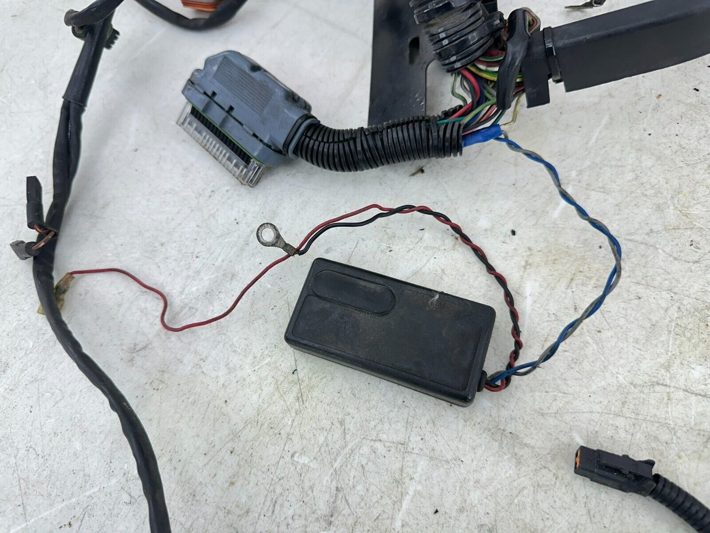 2003 HARLEY SOFTAIL EFI Main Wiring Wire Harness Loom Fuse Relay