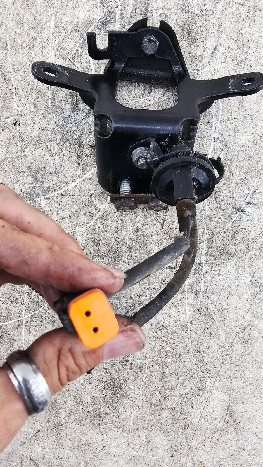 2000 Harley Davidson Sportster Upper Front Motor Mount Bracket + Bolts