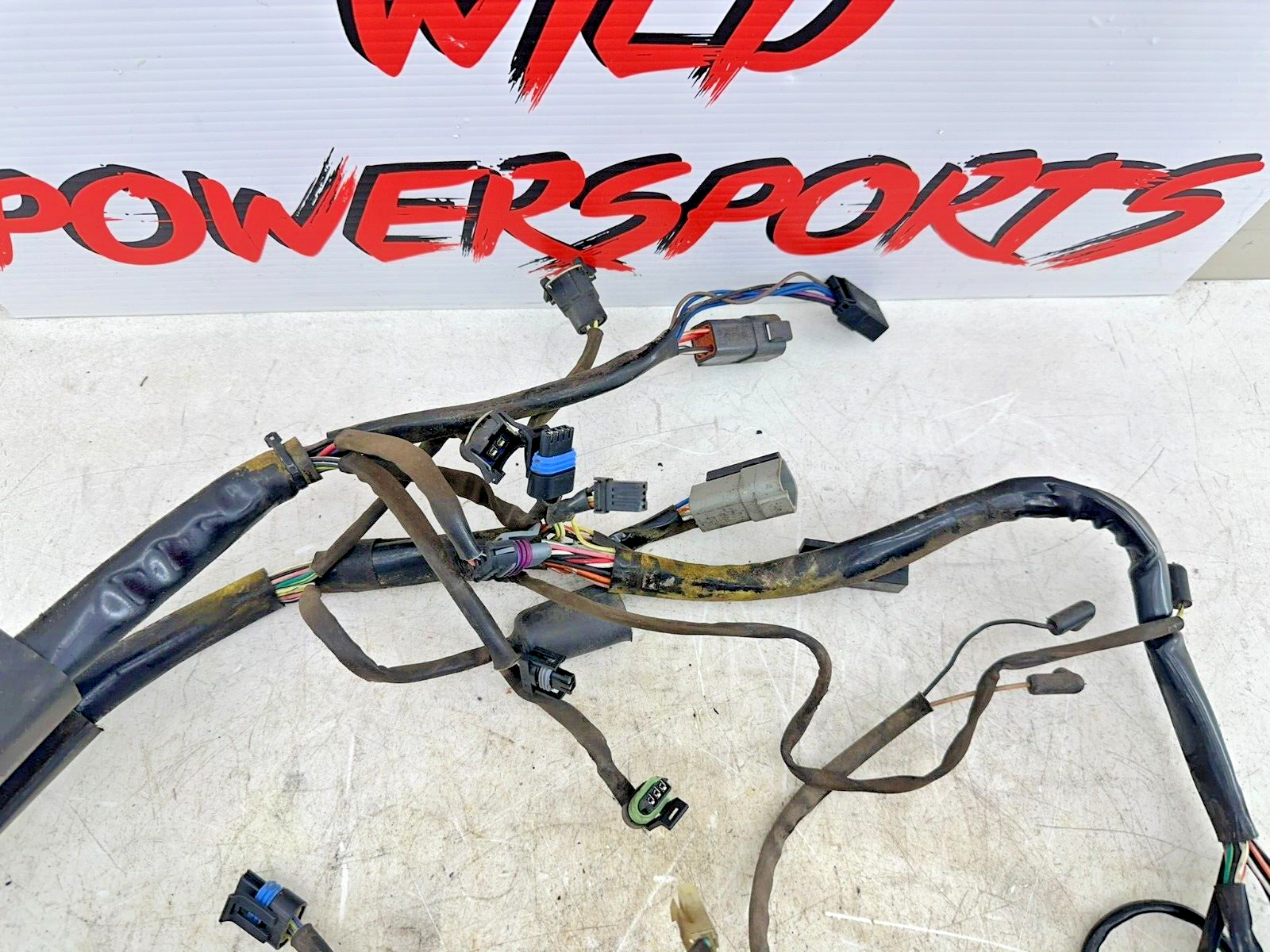2002 HARLEY SOFTAIL OEM HD Wire Wiring Harness Loom Fuse Relay