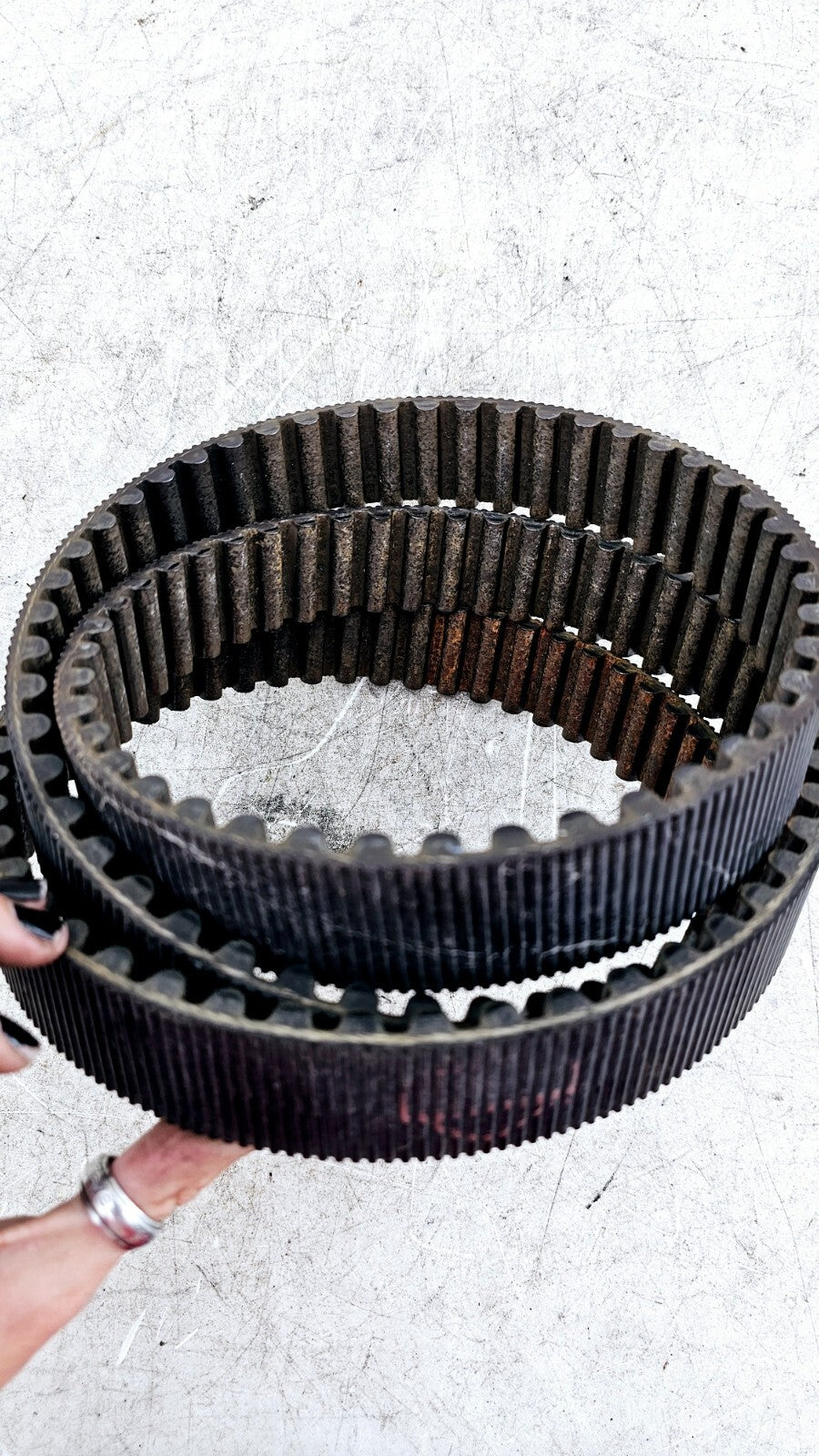 1998 HARLEY FLH ROADKING Final Drive Belt OEM HD