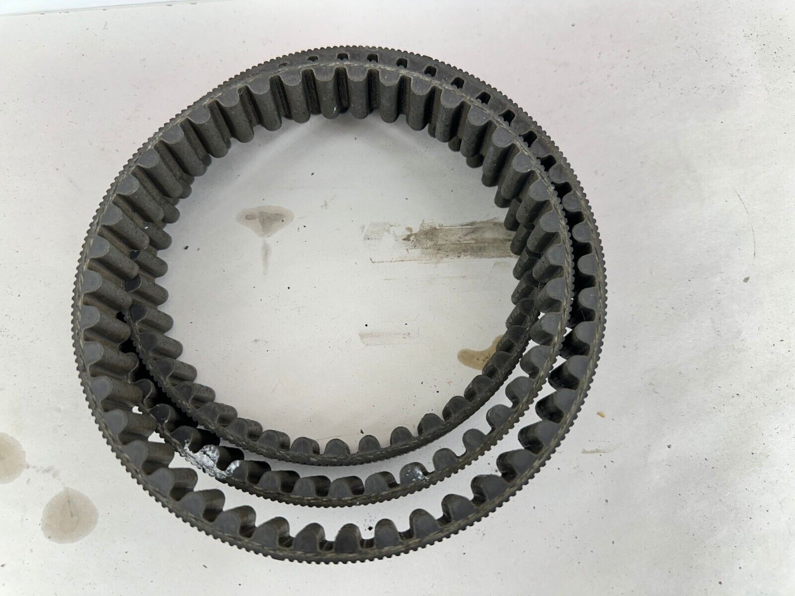 2003 Harley Davidson Sportster Final Drive Belt