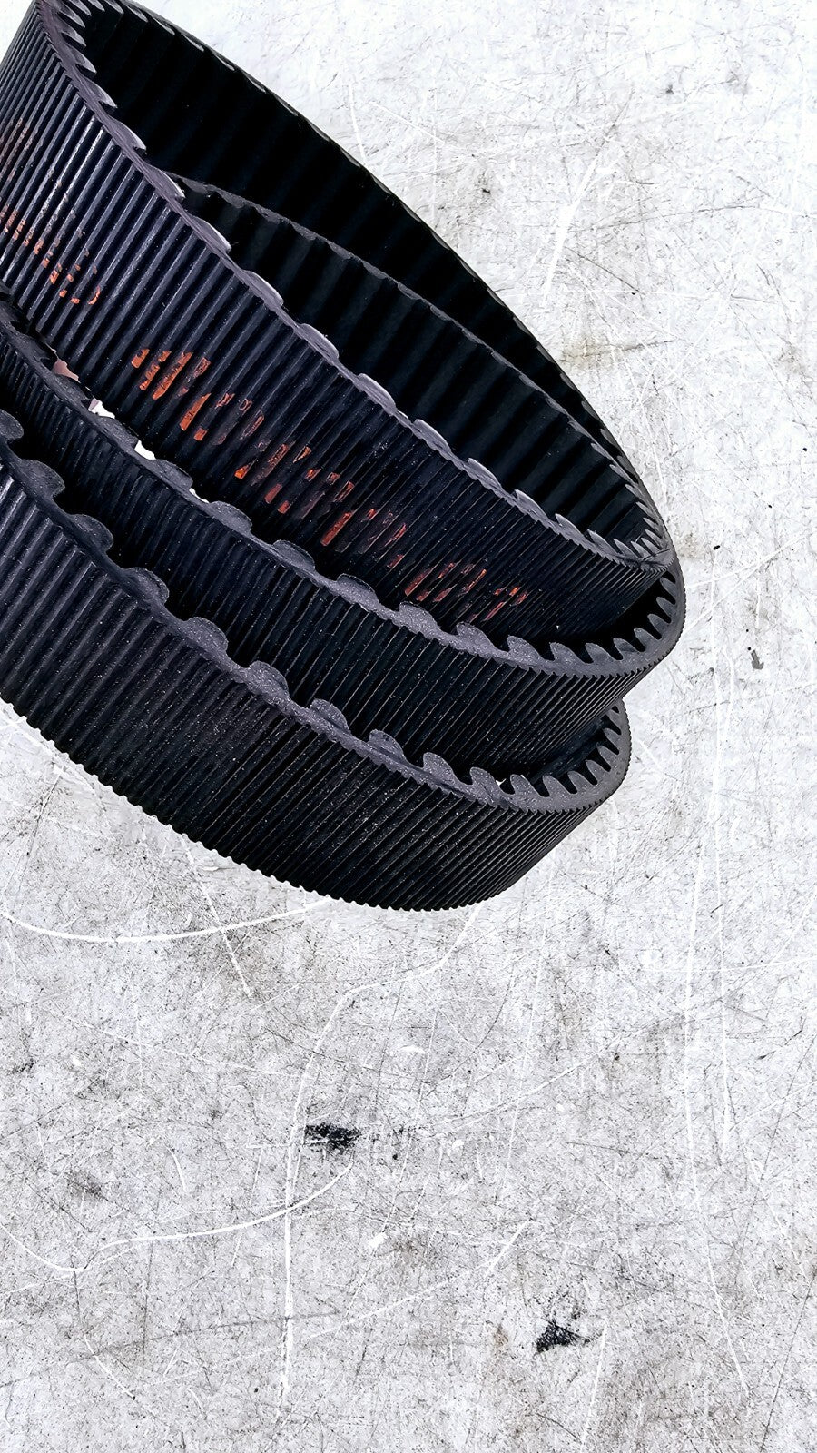 2000 HARLEY ELECTRA GLIDE Final Drive Belt 40130-03