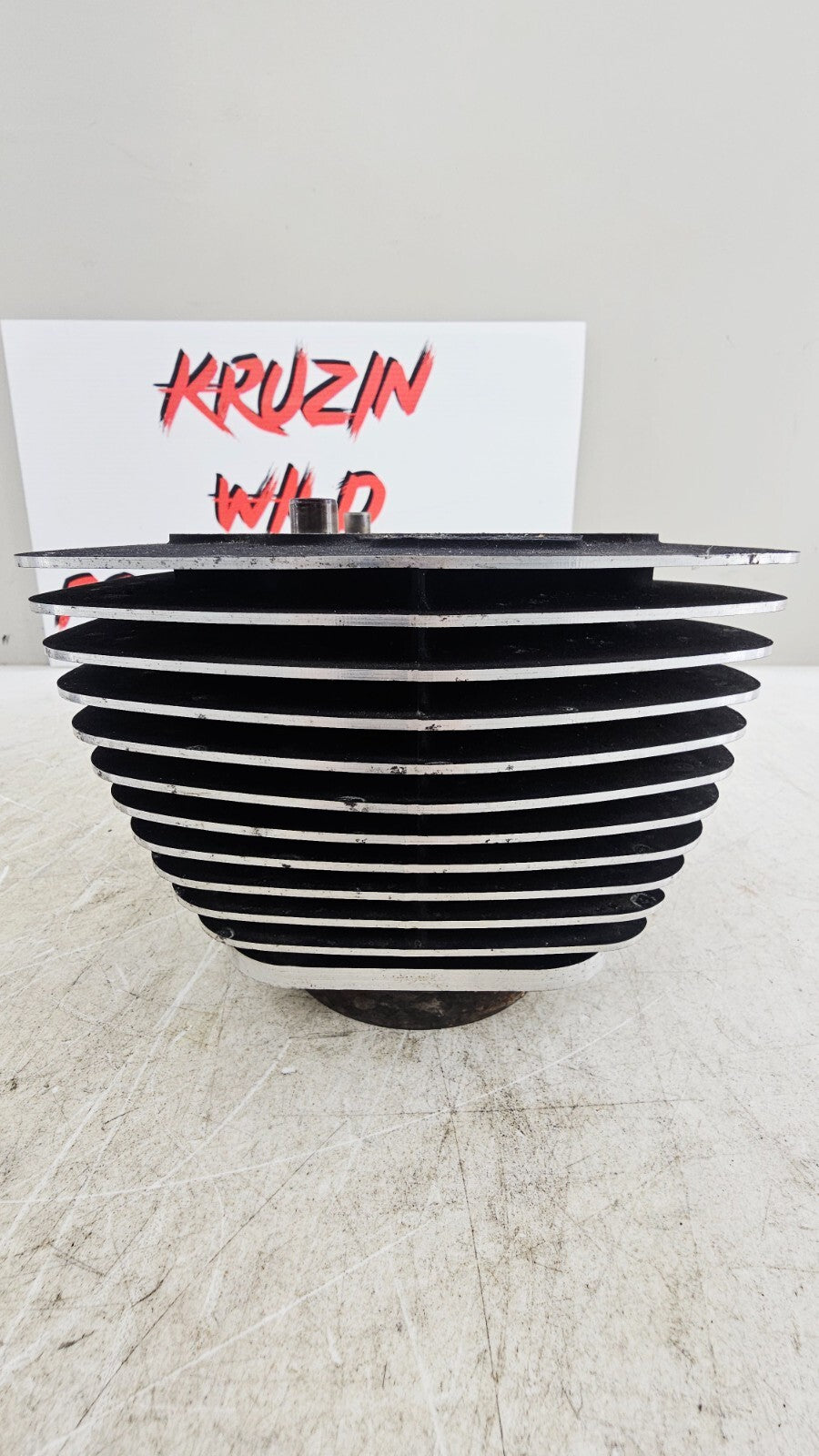 2000 HARLEY FLH ROADKING Engine Motor Cylinders Jugs Cylinder