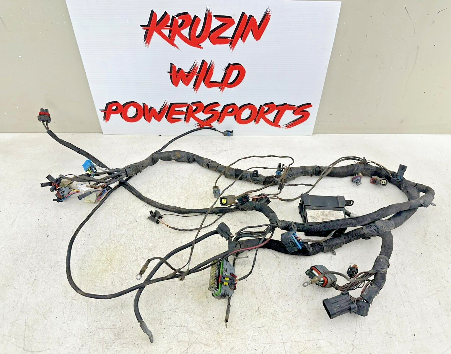 2006 Victory Kingpin Main Wire Wiring Harness Loom