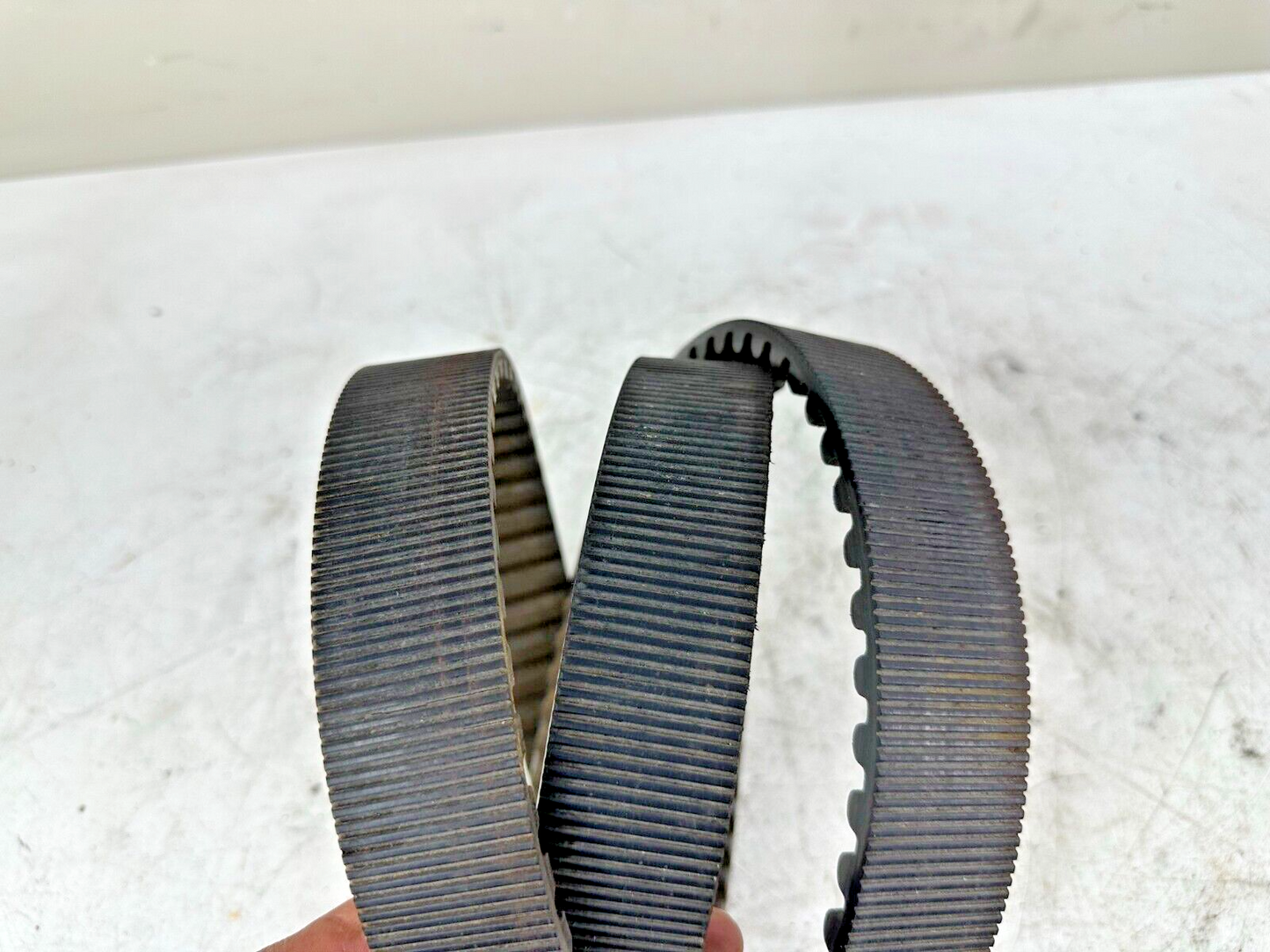 1996 HARLEY FLH ROADKING TOURING Rear Wheel Final Drive Belt