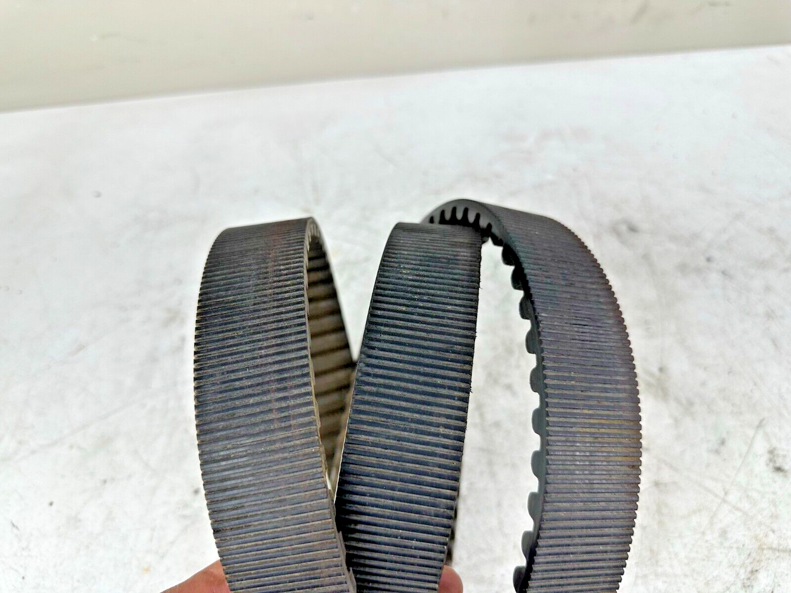 1996 HARLEY FLH ROADKING TOURING Rear Wheel Final Drive Belt