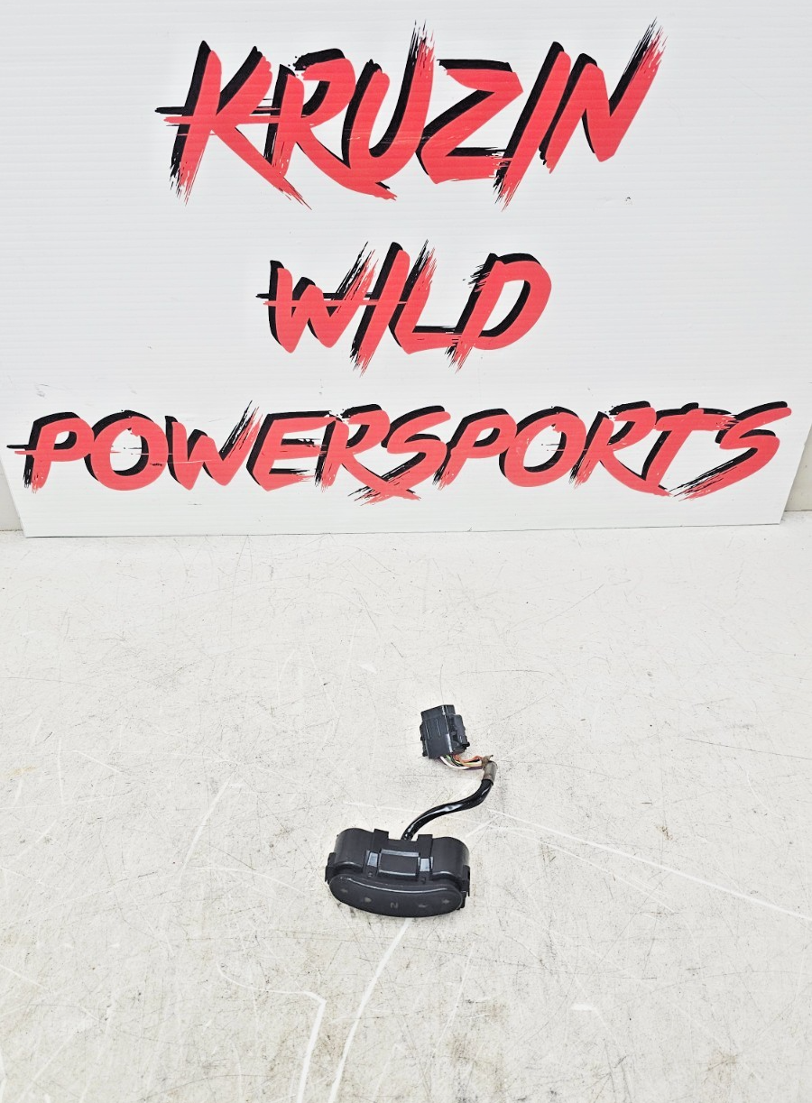 2003 HARLEY SOFTAIL DEUCE Dash Indicator Light Harness