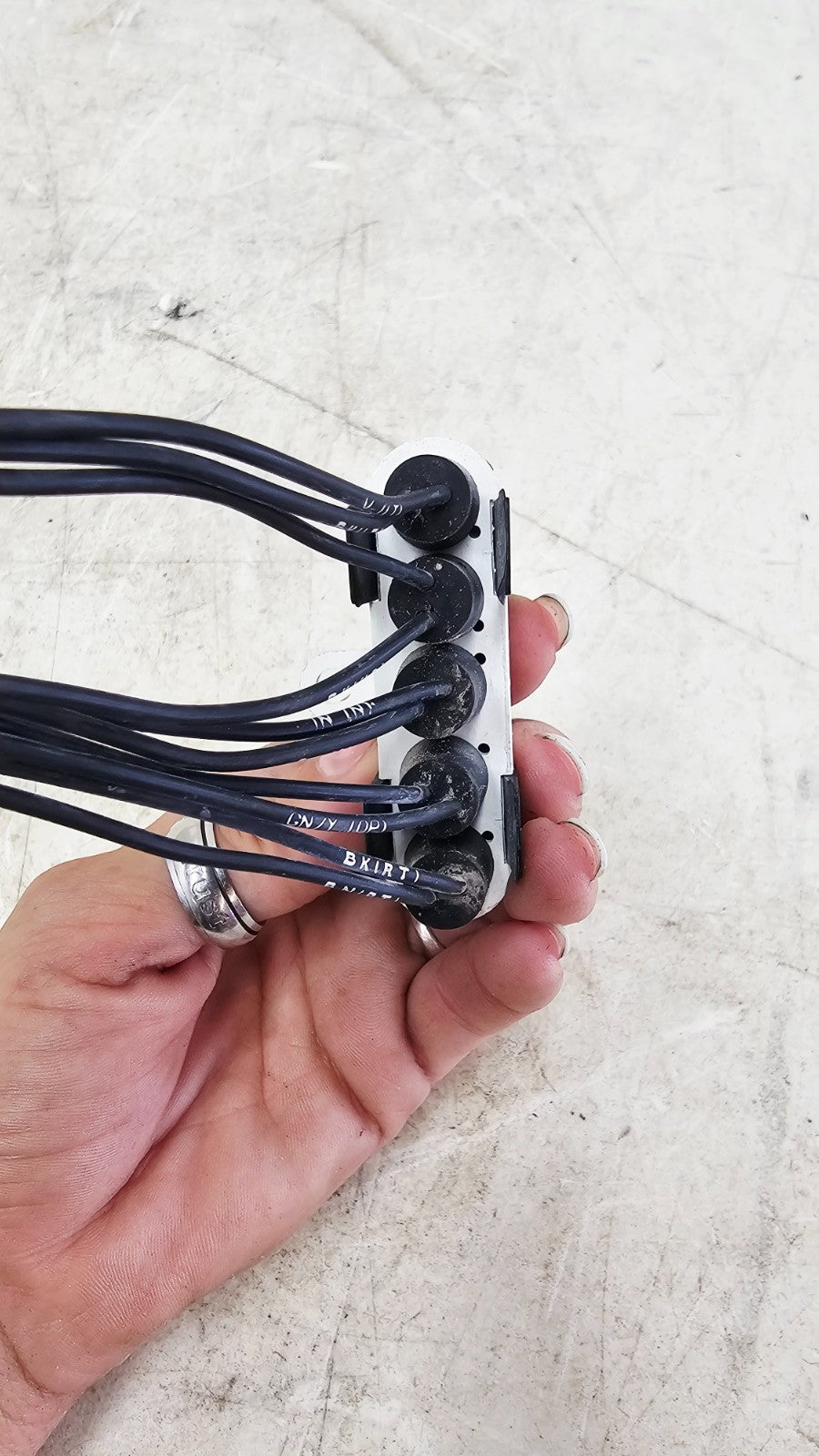 1996 HARLEY FLH ELECTRA GLIDE Dash Indicator Light Harness