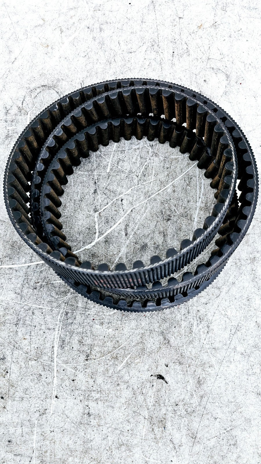 1994 HARLEY FLH ELECTRA GLIDE Final Drive Belt