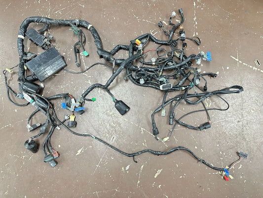 2001-2010 Honda Goldwing GL1800 1800 ABS MAIN WIRING HARNESS LOOM FUSE RELAY