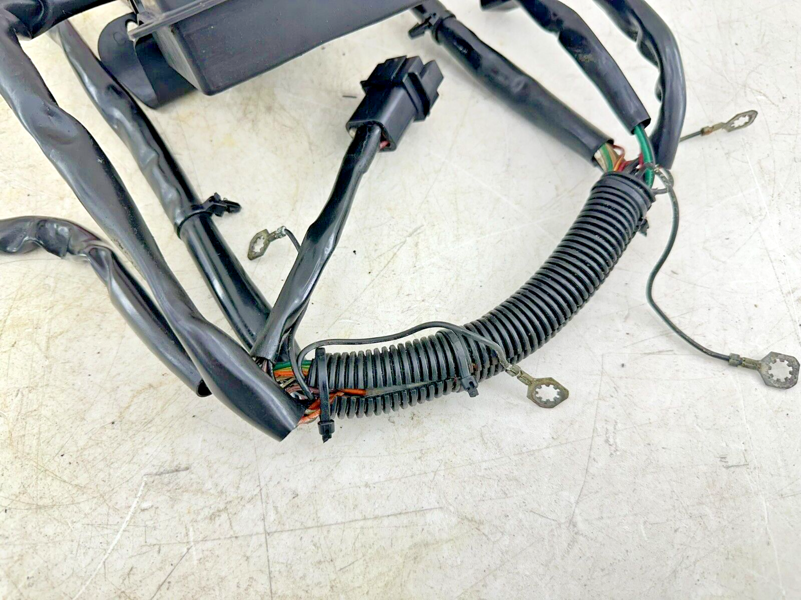 1999 HARLEY SOFTAIL OEM HD Main Wire Wiring Harness Loom