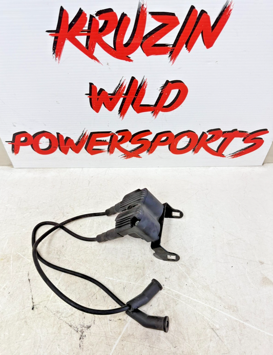 2003 HARLEY ELECTRA GLIDE Ignition Coil & Spark Plug Wires