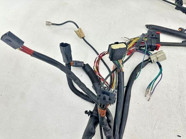 2007 Harley Davidson Electra Glide OEM HD Main Wiring Harness Loom Fuse Relay