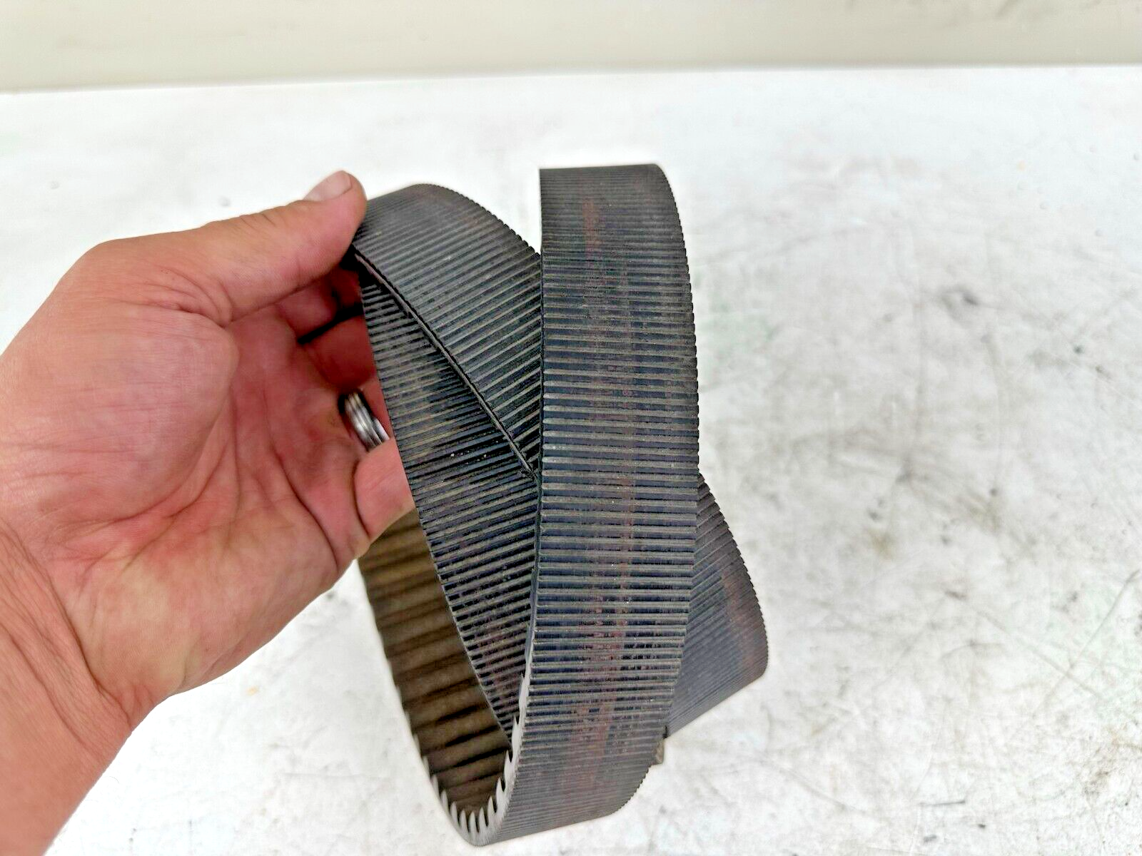 1996 HARLEY FLH ROADKING TOURING Rear Wheel Final Drive Belt