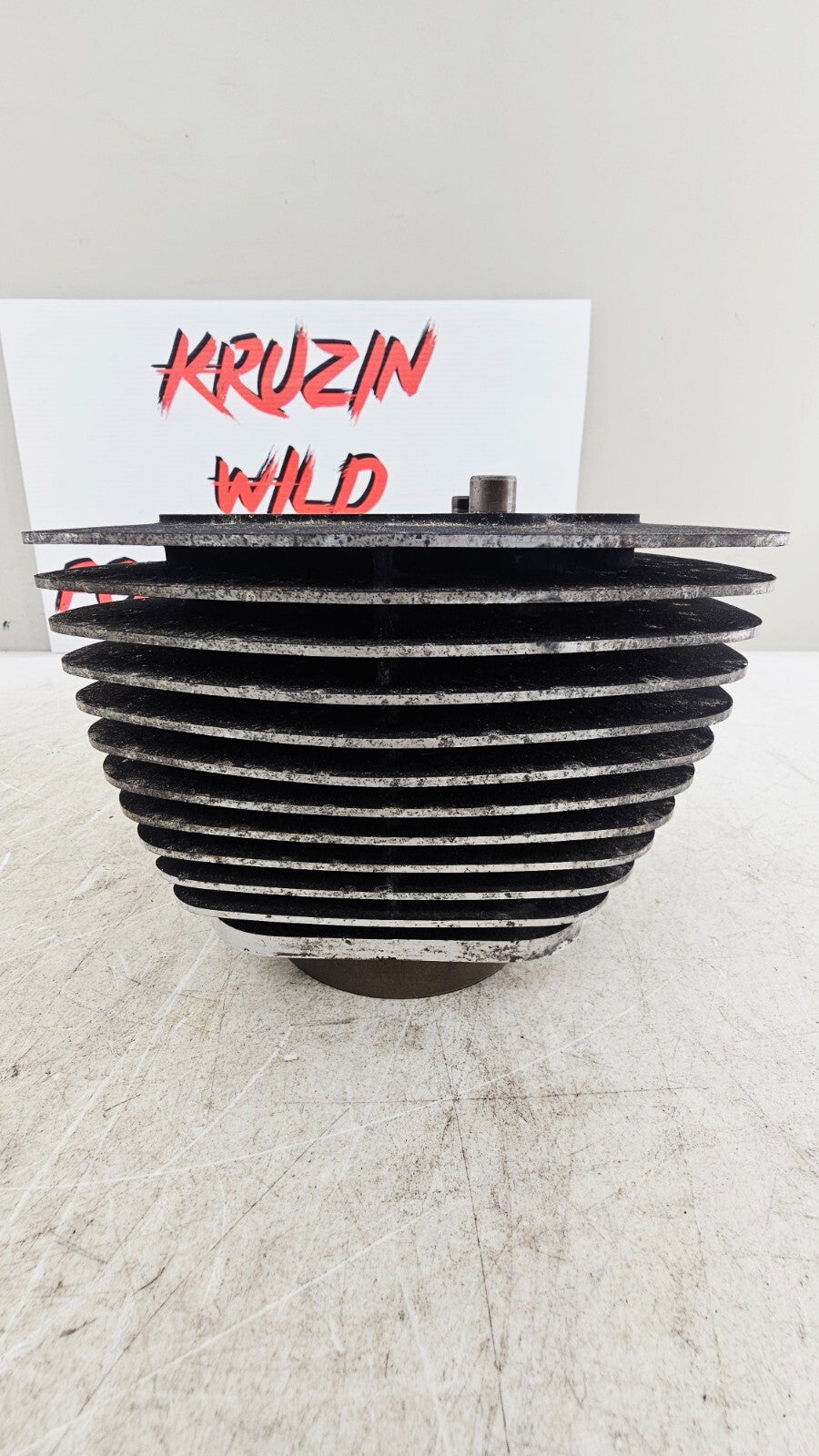 2000 HARLEY FLH ROADKING Engine Motor Cylinders Jugs Cylinder