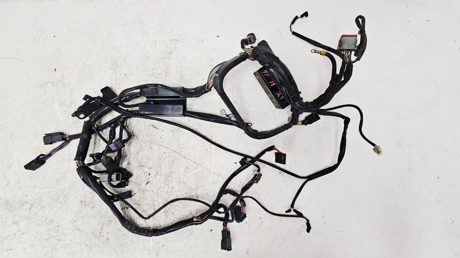 2002 HARLEY SOFTAIL Main Wire Wiring Harness Loom Fuse Box