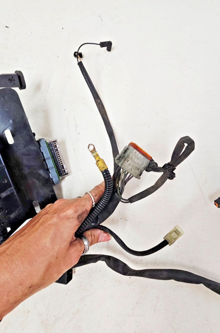 2002 HARLEY SOFTAIL Main Wire Wiring Harness Loom Fuse Box