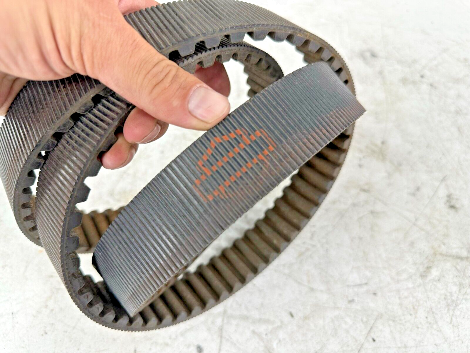 1996 HARLEY FLH ROADKING TOURING Rear Wheel Final Drive Belt