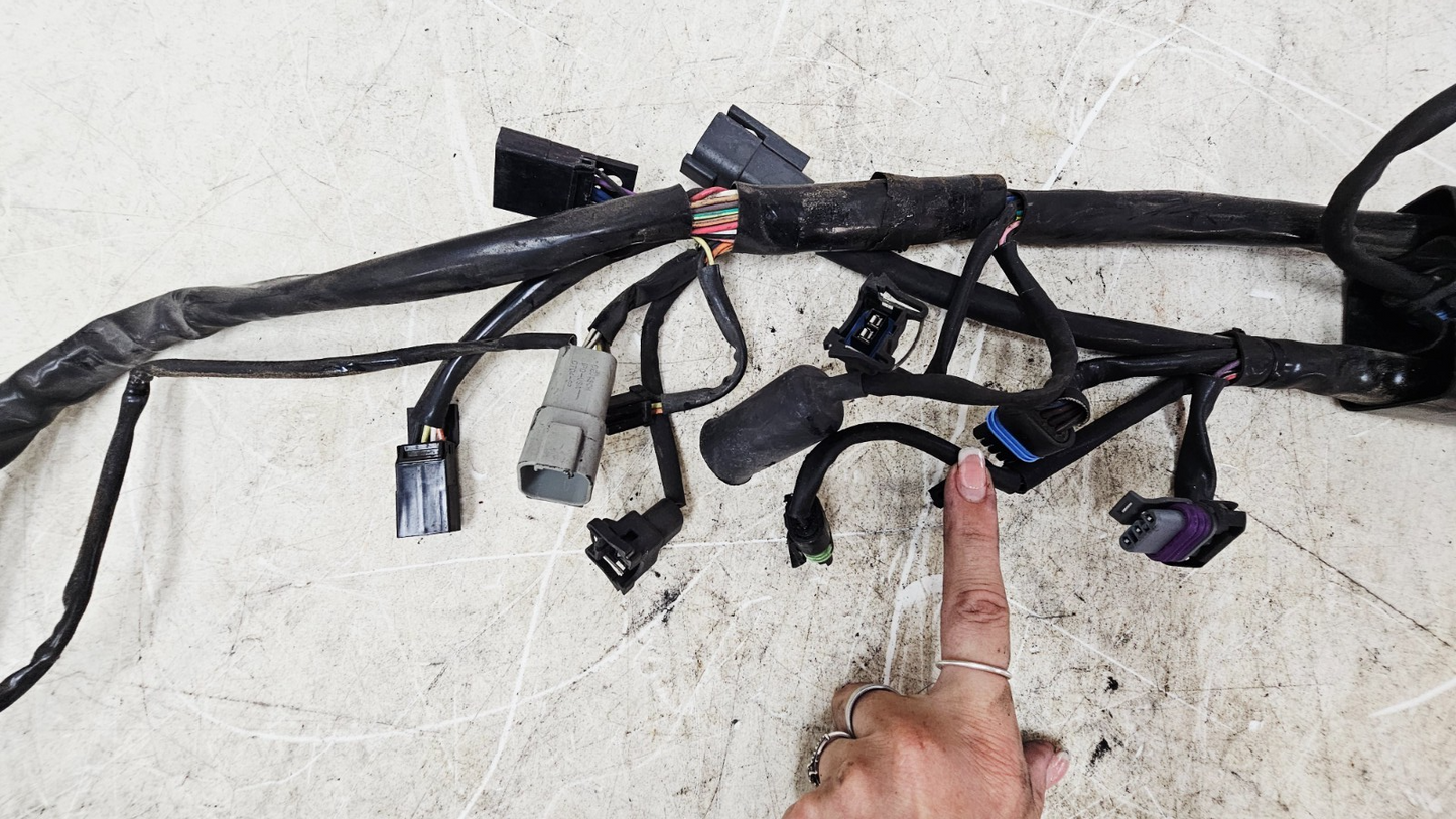 2002 HARLEY SOFTAIL Main Wire Wiring Harness Loom Fuse Box