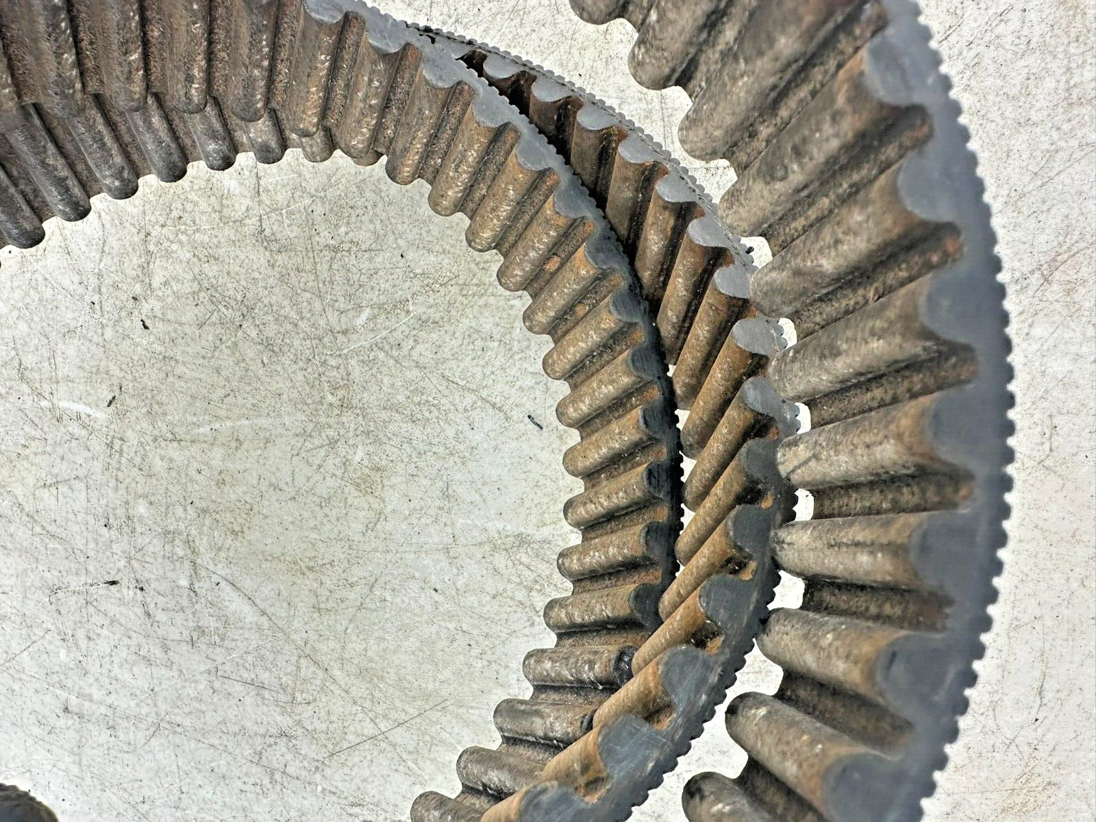 1995 HARLEY SOFTAIL 130 Tooth 1 1/2 Wide Final Drive Belt