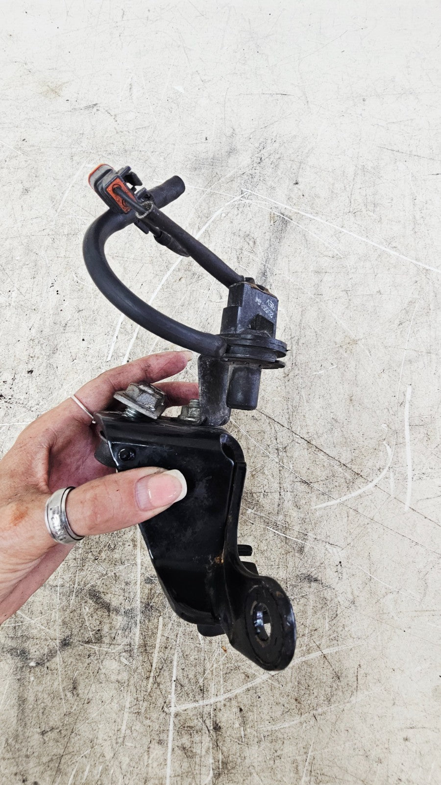 2001 Harley Davidson Sportster Upper Front Motor Mount Bracket