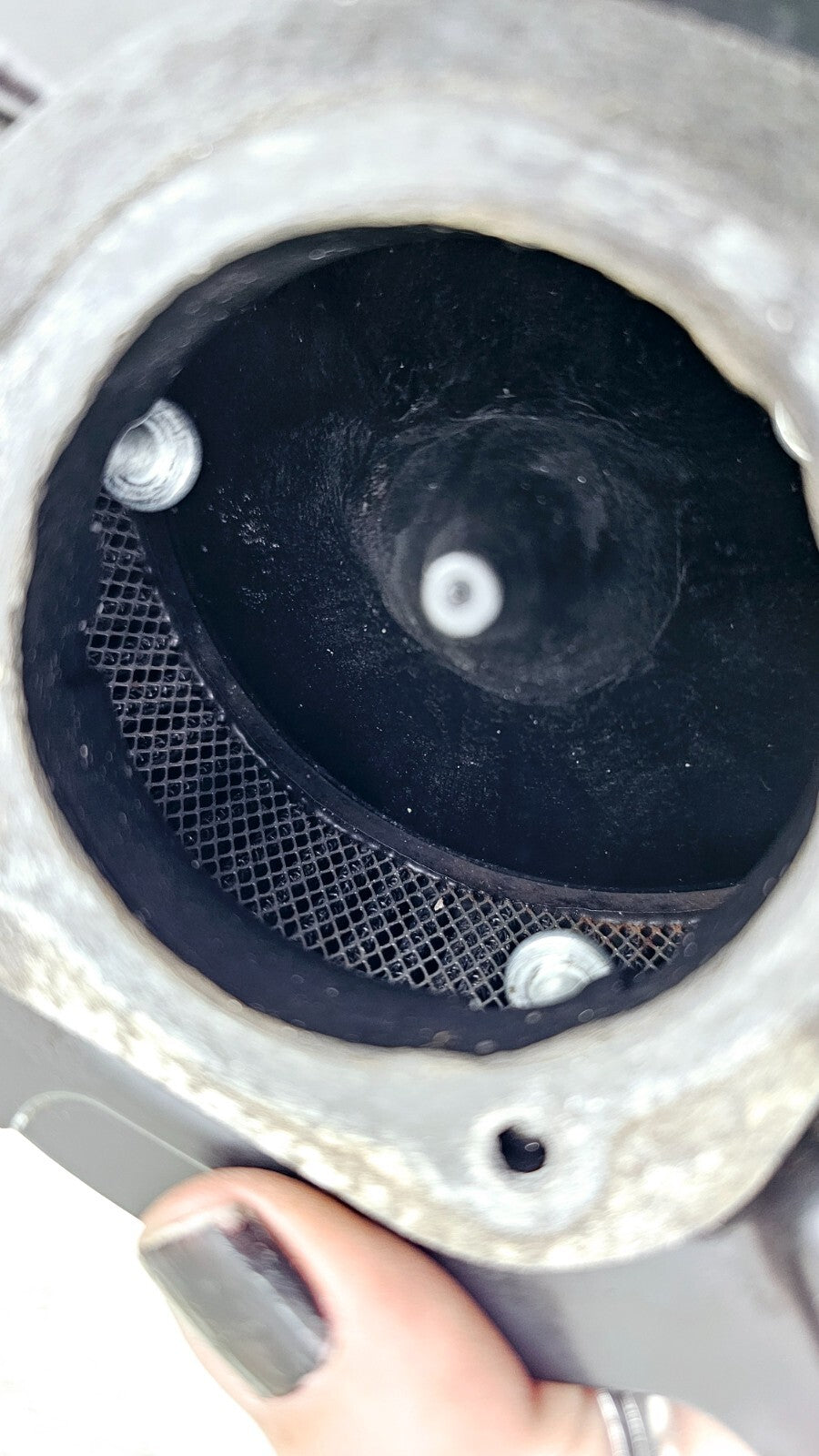 1999 HARLEY SOFTAIL Live to Ride Eagle Air Intake Filter Cleaner